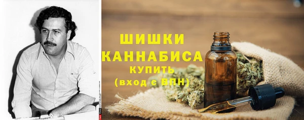 гашик Волосово