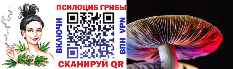 Галлюциногенные грибы мухоморы  наркота  Себеж 