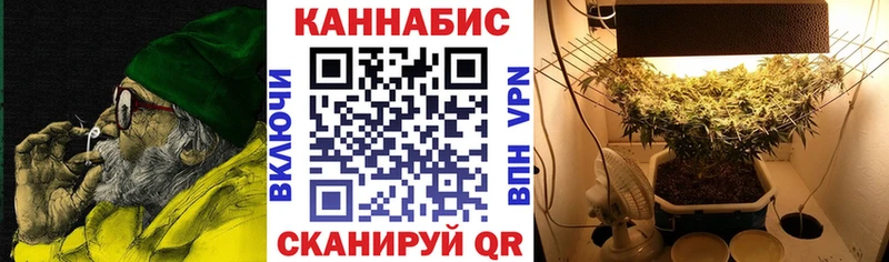 Бошки Шишки OG Kush  дарнет шоп  Себеж 